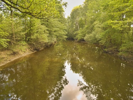 Koryto líně tekoucí Nové řeky (Lužnice)...