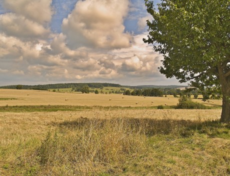 Krásné okolí České Kanady. V Bystřici sednu na úzkolejku a přepravím se do Jinřichova Hradce.
