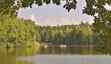 Na Hodějovickém rybníce jsem zaznamenal jakýsi pohyb.
