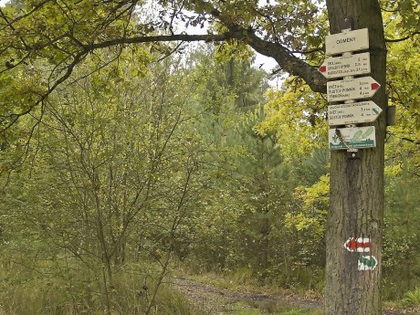 Cesta nevalné kvality (kořeny, louže, bláto) pokračuje mokřady.