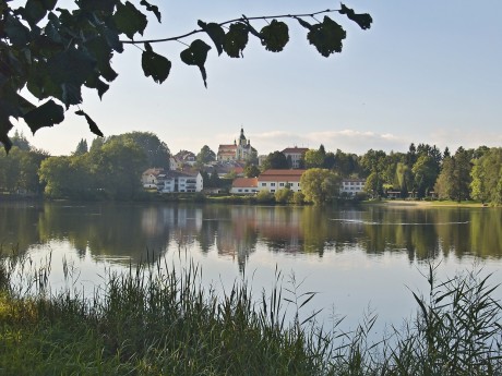 Opět Hejtman, na pozadí Chlum u Třeboně.