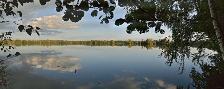 ...a poslední záběr rybníka Starý Hospodář při cestě zpátky.