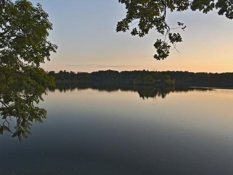 Hladina rybníka Svět v Třeboni při západu slunce.