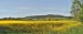 Naše vesnička panoramaticky, se žlutou v popředí...